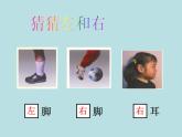 一年級(jí)下冊(cè)數(shù)學(xué)課件-5.1   左與右  ▏滬教版 (共14張PPT) (5)