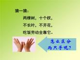 一年級(jí)下冊(cè)數(shù)學(xué)課件-5.1   左與右  ▏滬教版 (共15張PPT) (2)