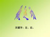 一年級(jí)下冊(cè)數(shù)學(xué)課件-5.1   左與右  ▏滬教版 (共15張PPT) (2)