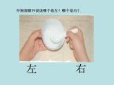 一年級(jí)下冊(cè)數(shù)學(xué)課件-5.1   左與右  ▏滬教版 (共14張PPT) (4)