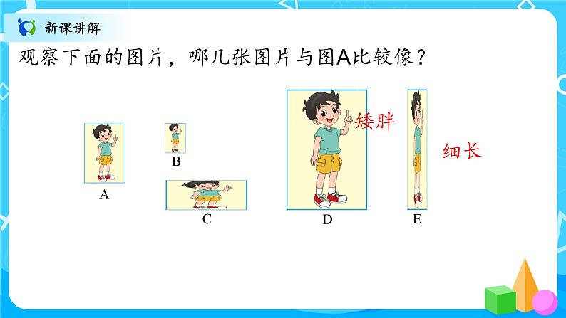北师大数学六上《生活中的比》课件PPT+教案04