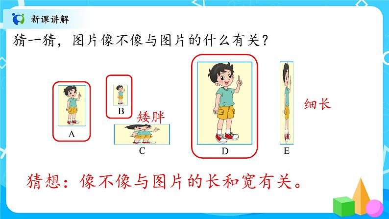 北师大数学六上《生活中的比》课件PPT+教案05