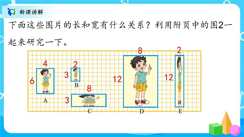 北师大数学六上《生活中的比》课件PPT+教案06