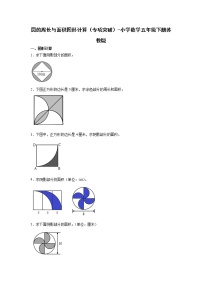 圆的周长与面积图形计算（专项突破）-小学数学五年级下册苏教版