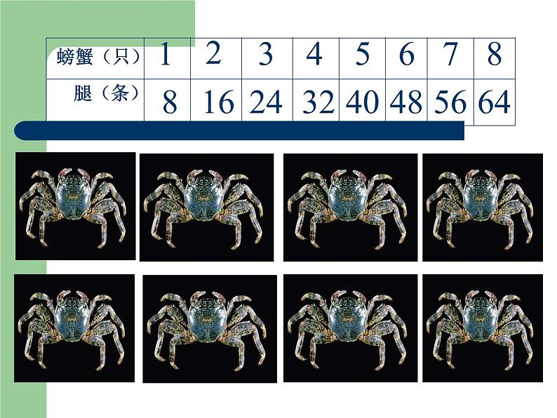 二年级上册数学课件-06表内乘法（二）-028的乘法口诀- -人教版(共19张PPT)第4页