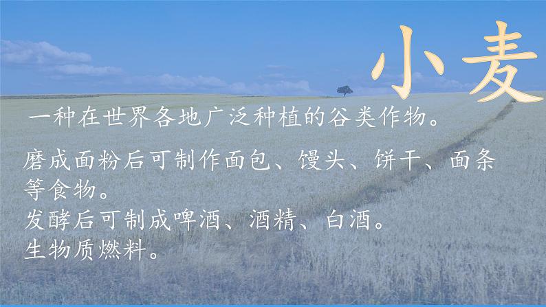 北师大数学六上《百分数的应用（二）试一试》课件PPT+教案02