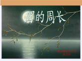 六年级上册数学课件-5.2圆的周长   人教版 (共31张PPT)