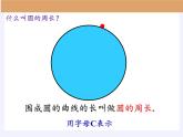 六年级上册数学课件-5.2圆的周长   人教版 (共31张PPT)