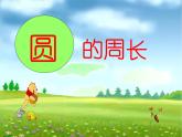 六年级上册数学课件 《圆的周长》  人教版   (共40张PPT)