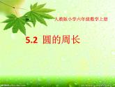 六年级上册数学课件-《5.2圆的周长》课件 (共27张PPT)