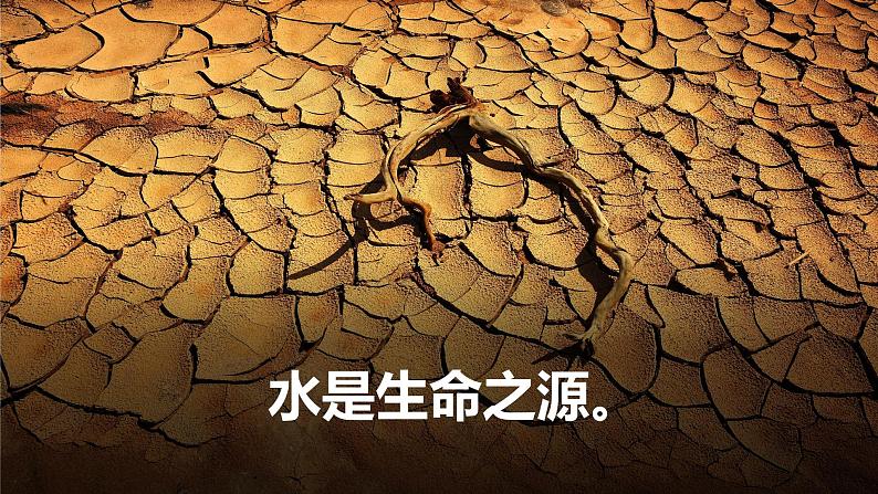 《节约用水》课件第8页