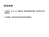 三年級(jí)下冊(cè)數(shù)學(xué)課件 周長3  滬教版  (共14張PPT)