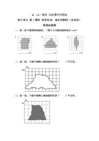 小学数学北师大版五年级上册六 组合图形的面积2 探索活动：成长的脚印精品习题