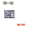 三年级上册数学课件-年、月、日6  沪教版(共11张PPT)