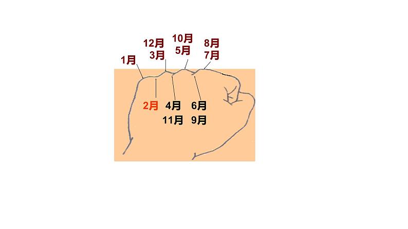 三年级上册数学课件  年、月、日4  沪教版(共14张PPT)03