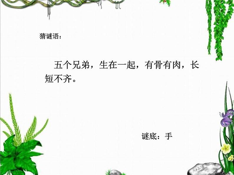 二年级数学上册教学课件-4.2.1   5的乘法口诀2-人教版(共12张PPT)第2页