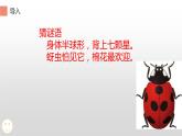 二年级数学上册教学课件-6.3    7的乘法口诀10-人教版(共12张PPT)