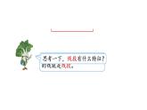 苏教版数学二年级上册 5.1认识线段 课件