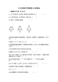 小升初数学判断题50道质优及参考答案（培优B卷） (2)