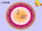 一年级上册数学课件-07认识钟表     人教版(共8张PPT)