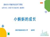 小学数学 北师大版 二年级下 第五单元第6课时《小蝌蚪的成长》课件