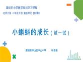 小学数学 北师大版 二年级下 第五单元第7课时《小蝌蚪的成长（试一试）》课件