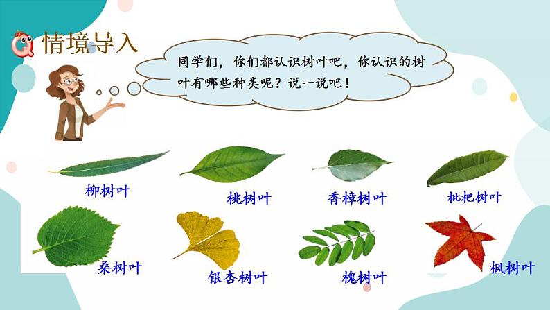 苏教版六上数学  3.14 树叶中的比  课件+练习02