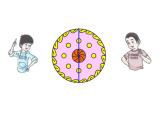 三年級下冊數(shù)學(xué)課件  幾分之一２  滬教版  (共10張PPT)