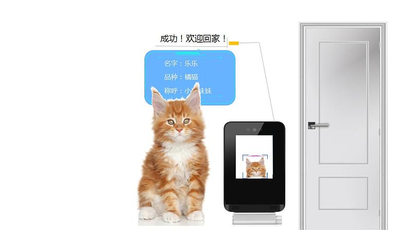 数学好玩《可爱的小猫》课件+教案08