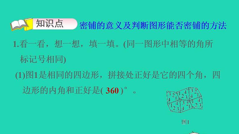 2022四年级数学下册数学好玩1密铺习题课件北师大版03