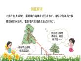 北师大版数学六上 3.2《观察的范围》课件PPT