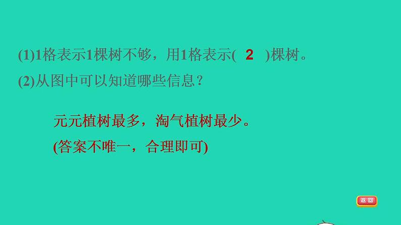 2022四年级数学下册第6单元数据的表示和分析2栽蒜苗一1格表示多个单位的条形统计图习题课件北师大版05