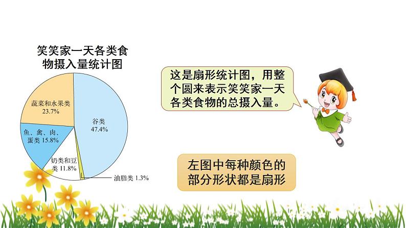 北师大版数学六上 5.1《扇形统计图》课件PPT07