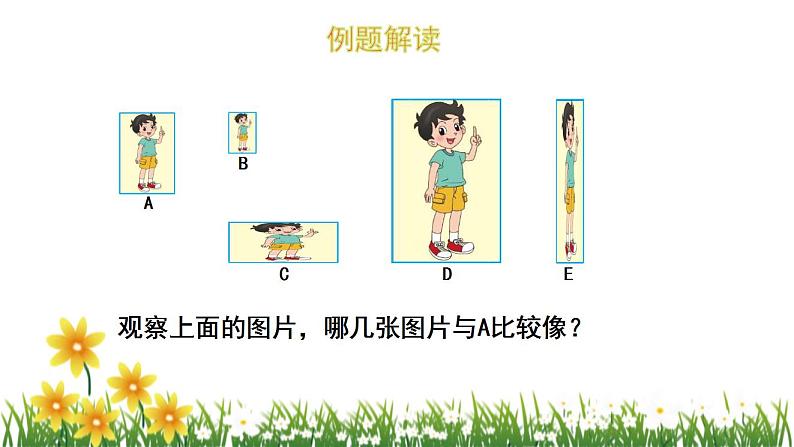 北师大版数学六上 6.1《生活中的比》课件PPT05