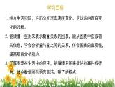 北师大版数学六上  数学好玩《看图找关系》课件PPT