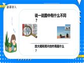 冀教版小学数学六年级上册6.1.1《放大与缩小》课件+教学设计