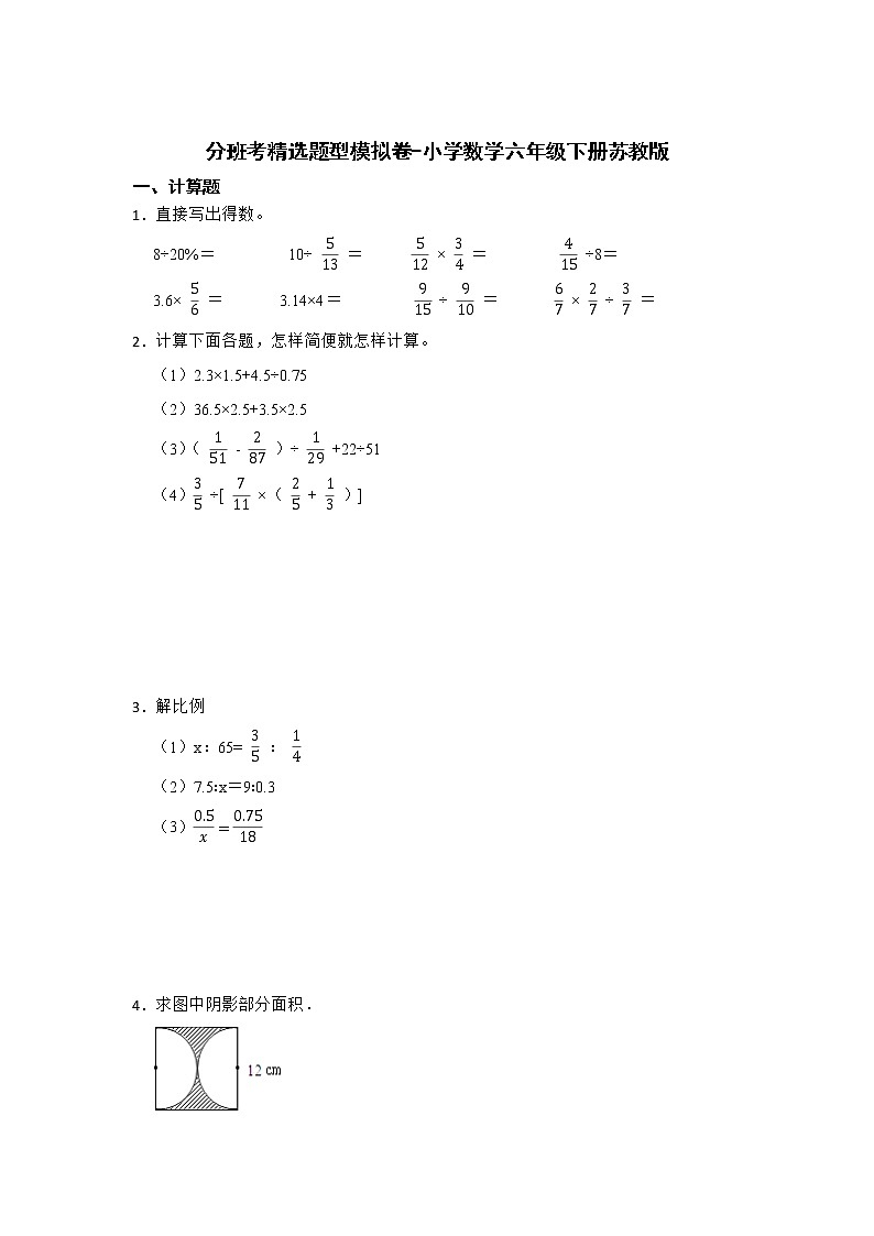 分班考精选题型模拟卷-小学数学六年级下册苏教版第1页