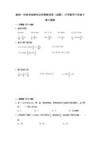 新初一分班考高频考点冲刺特训卷（试题）-小学数学六年级下册人教版