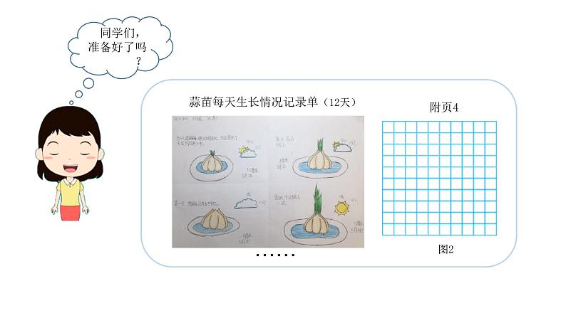 小学数学 北师大版  四下 第六单元第4课时《栽蒜苗（二）》 课件02