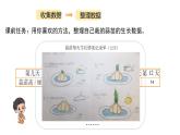 小学数学 北师大版  四下 第六单元第4课时《栽蒜苗（二）》 课件
