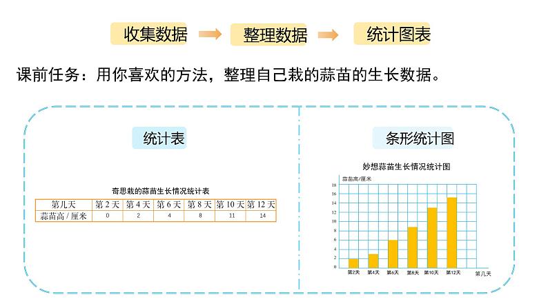 小学数学 北师大版  四下 第六单元第4课时《栽蒜苗（二）》 课件05