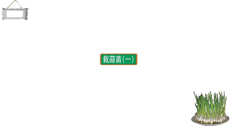 小学数学 北师大版 四下 第六单元第2课时《栽蒜苗（一）》 课件02