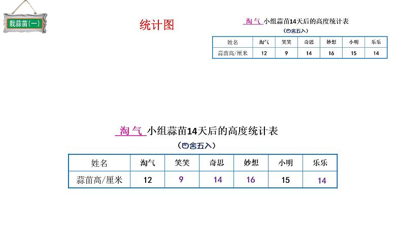 小学数学 北师大版 四下 第六单元第2课时《栽蒜苗（一）》 课件07