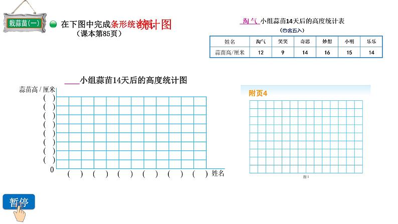 小学数学 北师大版 四下 第六单元第2课时《栽蒜苗（一）》 课件08