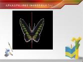 北师大版 五年级上册 轴对称再认识 (1)优质课件