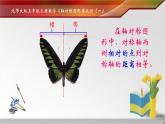 北师大版 五年级上册 轴对称再认识 (1)优质课件