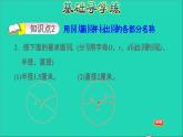 2022五年级数学下册六圆第1课时圆的认识习题课件苏教版