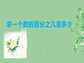 【同步备课】六年级数学上册 第六单元 第2课时 求一个数的百分之几是多少 同步教学课件 （人教版）
