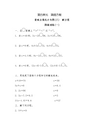 2021学年解方程同步达标检测题