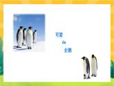 3.7《可爱的企鹅》教学课件PPT